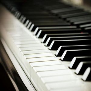 警花在办公室里给局长口交做爱视频
