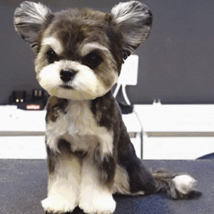 警花在办公室里给局长口交做爱视频
