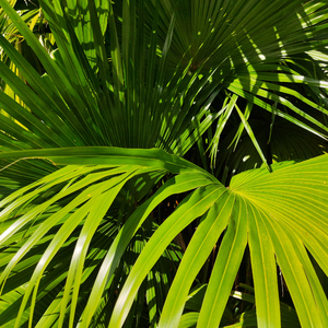 警花在办公室里给局长口交做爱视频
